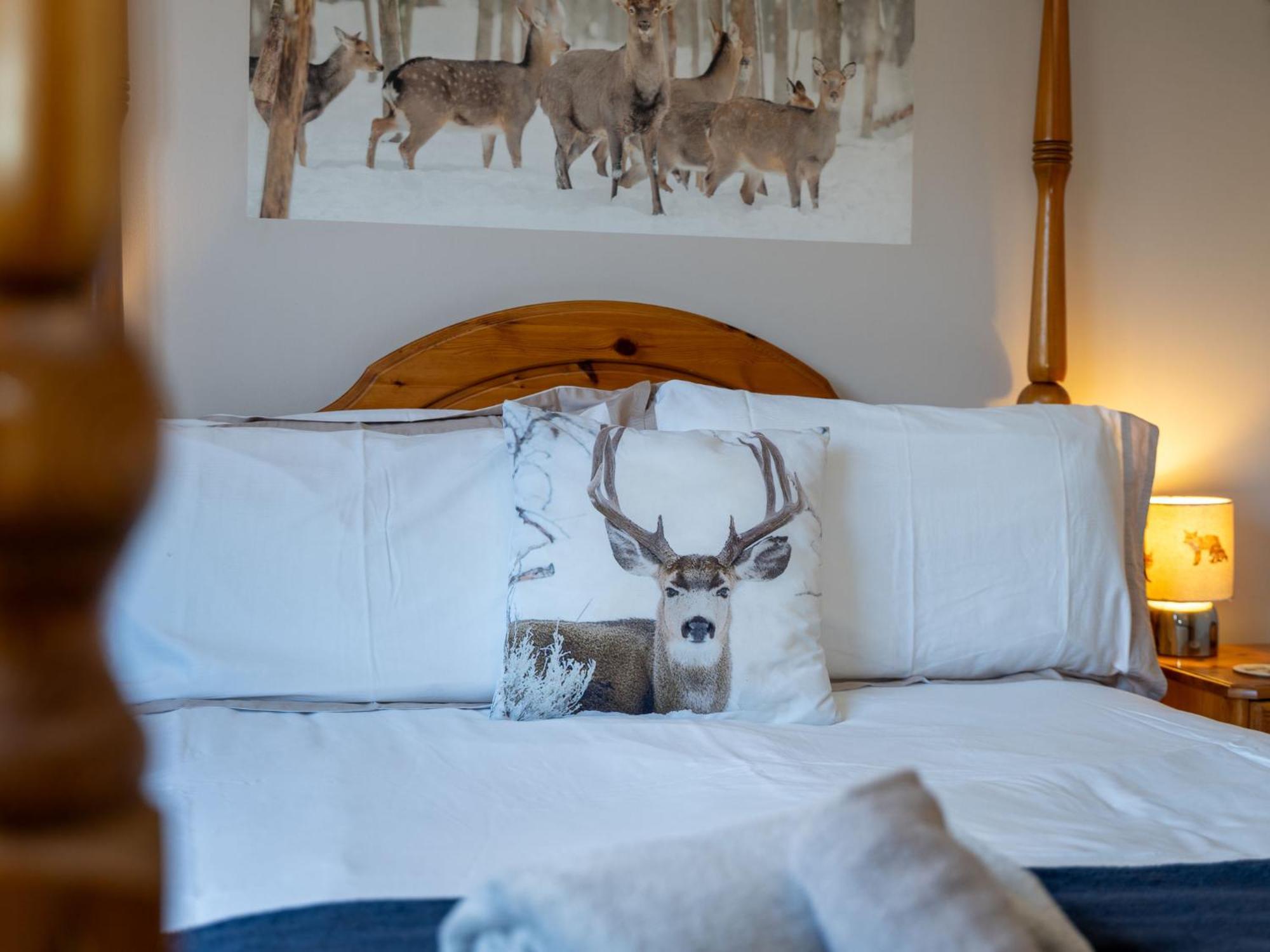 Holiday Home Braeriach By Interhome Aviemore Exteriör bild